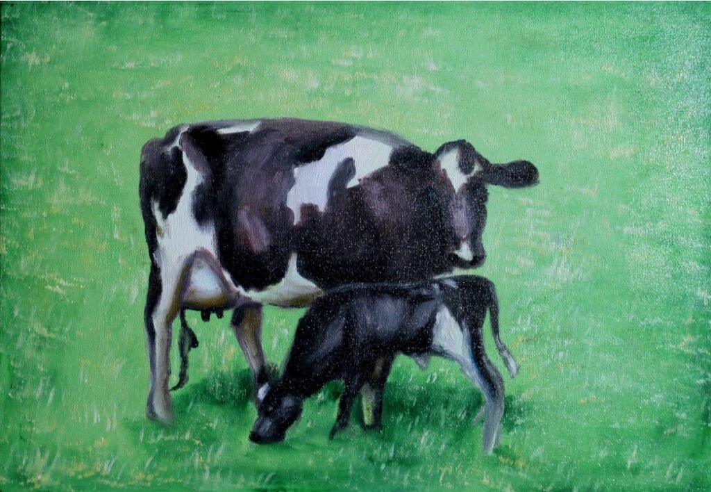 ხბო და ძროხა